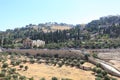 Kidron Valley & Mount of Olives, Jerusalem Royalty Free Stock Photo